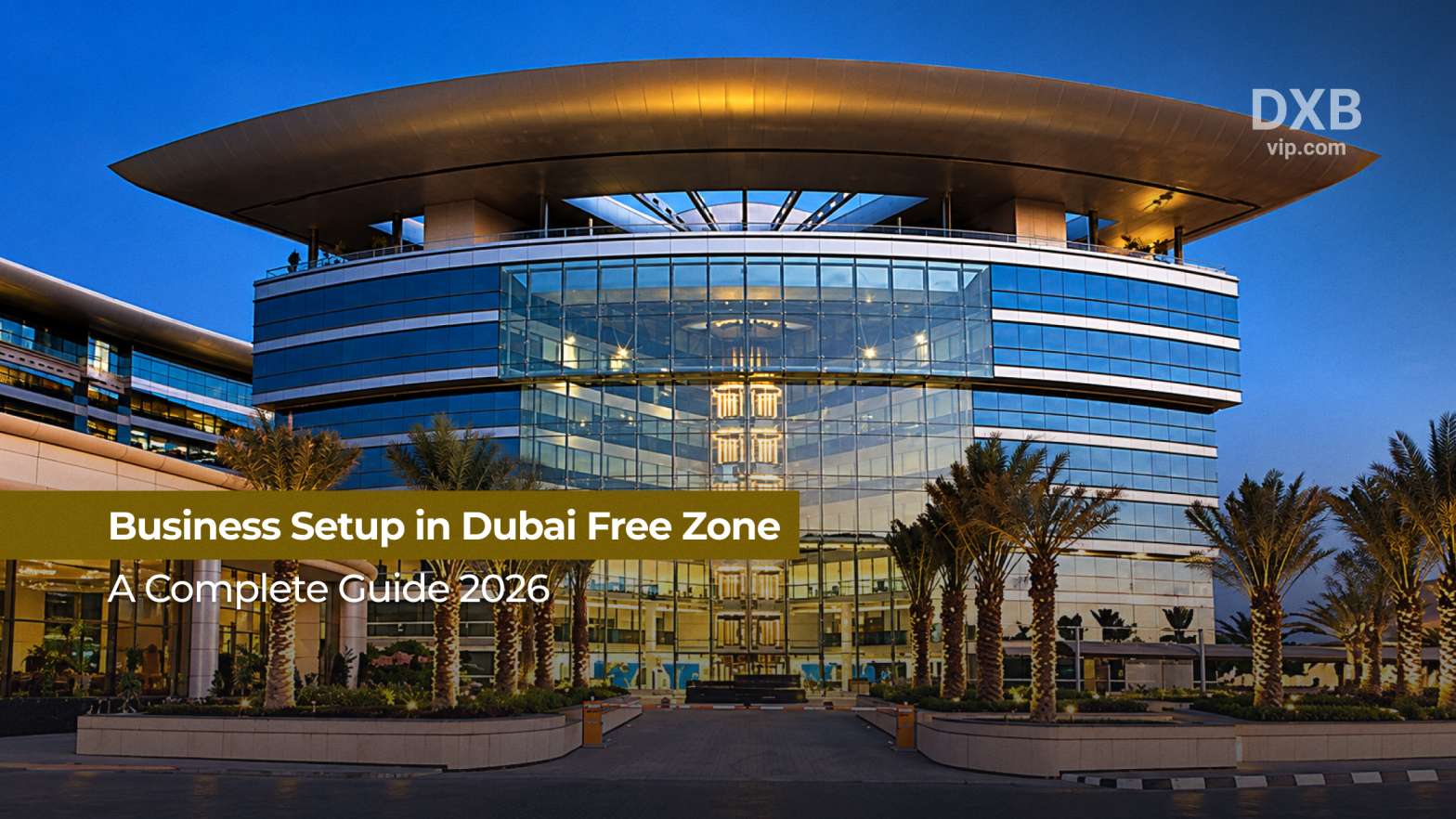 A Guide to Business Setup in Dubai Free Zone