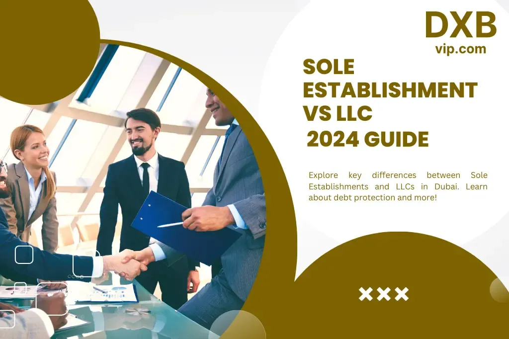 Difference Between LLC and Sole Establishment In Dubai
