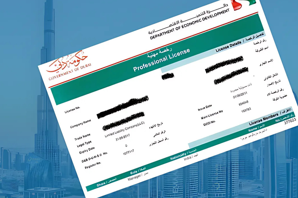 What is a Professional License in Dubai?